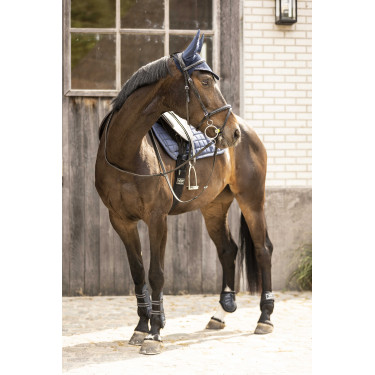 Vliegennetje Lami-Cell Galaxy Azul-marinho