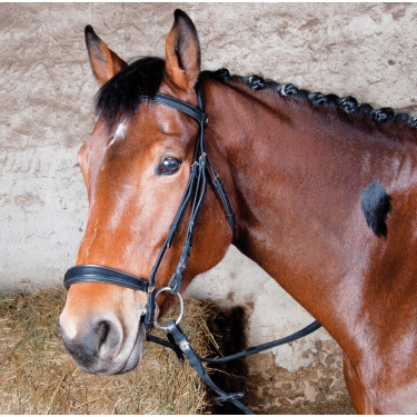 Bridon Michel Robert Tde T muserolle allemande T de T Noir