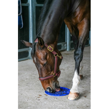 Tapete de lamber Likit Graze Maze Azul