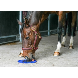 Tapete de lamber Likit Graze Maze Azul