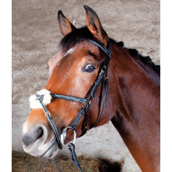 Bridon Kessel T de T têtière triple muserolle croisée Noir