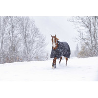 Capa Riding World Oxford impermeável forrada com lã polar Preto Capa Riding World Oxford impermeável forrada com lã polar Preto