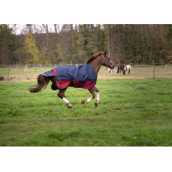 Cobertura Equithème Tyrex 1200 D Marinho / bordô Azul Cobertura Equithème Tyrex 1200 D Marinho / bordô Azul