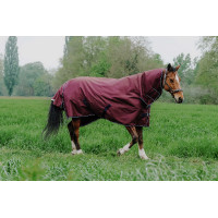 Capa Equithème TYREX 1200D Combo Bordéus Bordô Capa Equithème TYREX 1200D Combo Bordéus Bordô