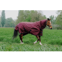 Capa Equithème TYREX 1200D Combo Bordéus Bordô Capa Equithème TYREX 1200D Combo Bordéus Bordô