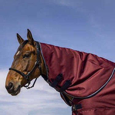 Protetor de pescoço Equithème Tyrex 1200D Protetor de pescoço Equithème Tyrex 1200D