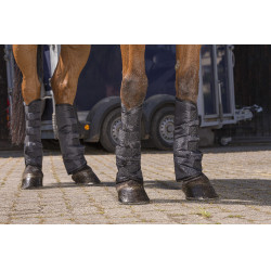 Guélias de transporte baixas Preto Guélias de transporte baixas Preto