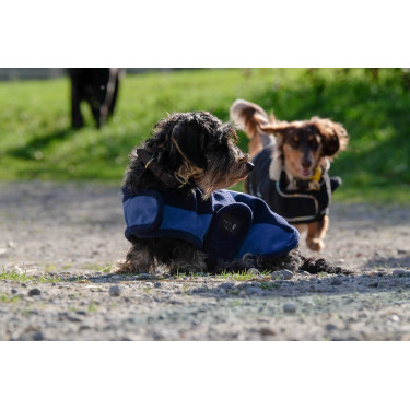 Capa para cão Equithème New Market Capa para cão Equithème New Market