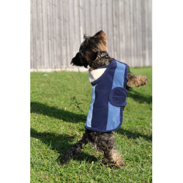 Capa para cão Equithème New Market Capa para cão Equithème New Market
