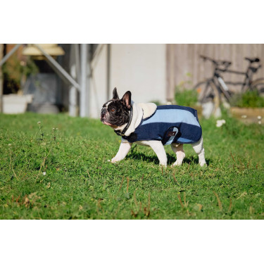Capa para cão Equithème New Market Capa para cão Equithème New Market