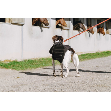 Capa para cão Equithème Softshell Capa para cão Equithème Softshell