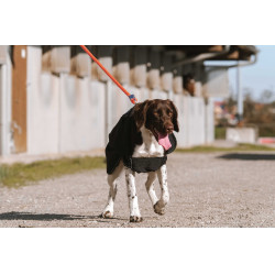 Capa para cão Equithème Softshell Preto