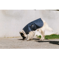 Capa para cão Equithème TYREX 600D Azul / cinza Capa para cão Equithème TYREX 600D Azul / cinza