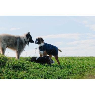 Capa para cão Equithème TYREX 600D Capa para cão Equithème TYREX 600D