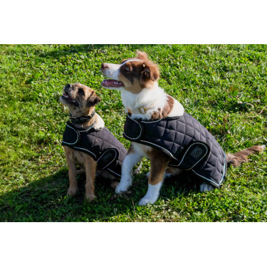 Cobertura para cão Je t'aime Equithème Cobertura para cão Je t'aime Equithème