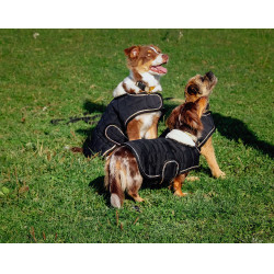 Cobertura para cão Je t'aime Equithème Preto Cobertura para cão Je t'aime Equithème Preto