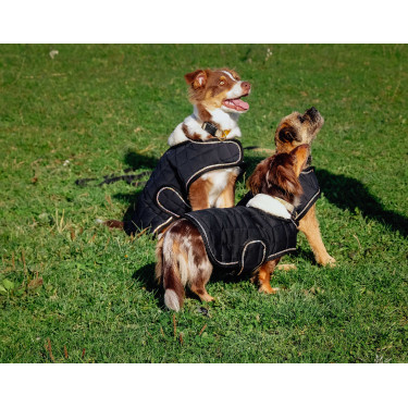 Cobertura para cão Je t'aime Equithème Cobertura para cão Je t'aime Equithème