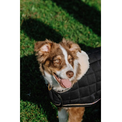 Cobertura para cão Je t'aime Equithème Preto Cobertura para cão Je t'aime Equithème Preto