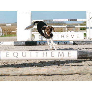Cobertura para cão Je t'aime Equithème Cobertura para cão Je t'aime Equithème