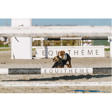 Cobertura para cão Je t'aime Equithème Cobertura para cão Je t'aime Equithème