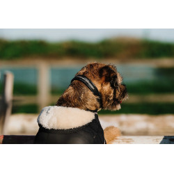 Cobertura para cão Je t'aime Equithème Preto Cobertura para cão Je t'aime Equithème Preto