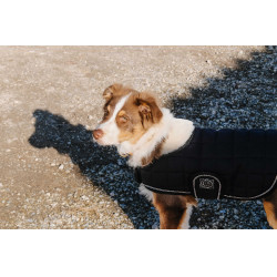 Cobertura para cão Je t'aime Equithème Preto Cobertura para cão Je t'aime Equithème Preto