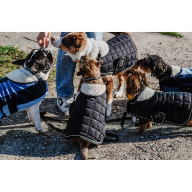 Cobertura para cão Je t'aime Equithème Cobertura para cão Je t'aime Equithème