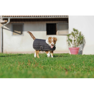 Cobertura para cão Je t'aime Equithème Cobertura para cão Je t'aime Equithème