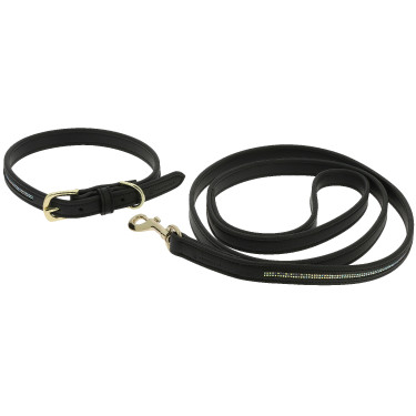 Coleira e trela para cão Equithème Max Coleira e trela para cão Equithème Max