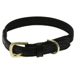 Coleira para cão Equithème Nala