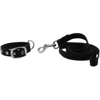 Coleira e trela para cão Riding World Oscar Preto