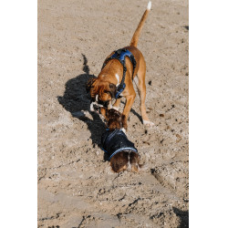 Capa para cão Equithème Eco 600D Marinho