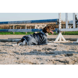 Capa para cão Equithème Eco 600D Marinho Azul-marinho Capa para cão Equithème Eco 600D Marinho Azul-marinho