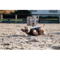 Camisa polar para cão Equithème Marinho Azul-marinho Camisa polar para cão Equithème Marinho Azul-marinho