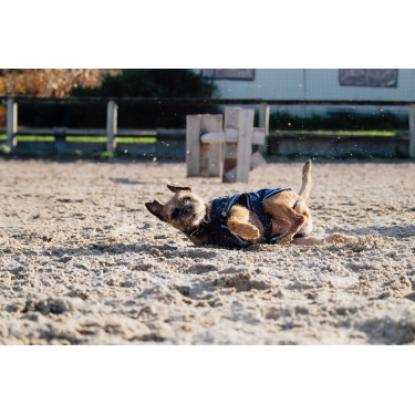 Camisa polar para cão Equithème Camisa polar para cão Equithème