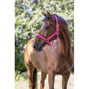 Caveção Norton Fluo forrado Rosa
