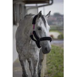 Cabeçada Norton com forro completo de lã sintética Fúcsia / preto Rosa