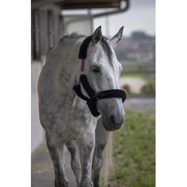 Cabeçada Norton com forro completo de lã sintética Fúcsia / preto Rosa