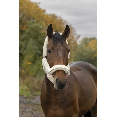 Cabeçada Norton com forro completo de lã sintética Fúcsia / cru Rosa