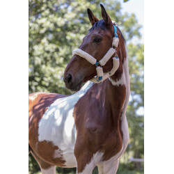 Cabeçada Norton com forro completo de lã sintética Azul elétrico / cru