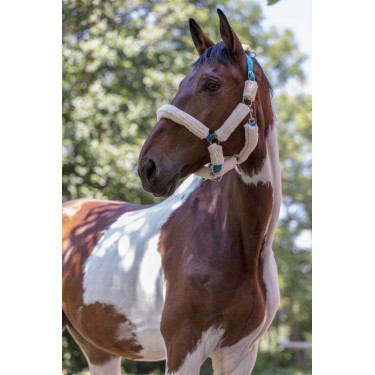 Cabeçada Norton com forro completo de lã sintética Azul elétrico / cru