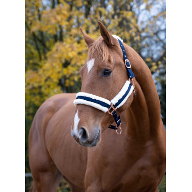 Caveção Norton Conforto Azul-marinho