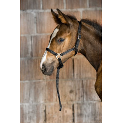 Cabresto de nylon para potro Preto Cabresto de nylon para potro Preto