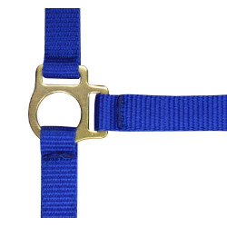 Cabresto de nylon para potro Azul royal Cabresto de nylon para potro Azul royal