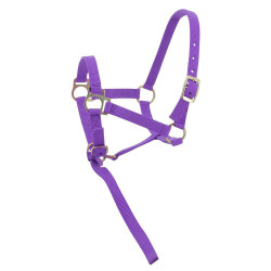Cabresto de nylon para potro Cabresto de nylon para potro