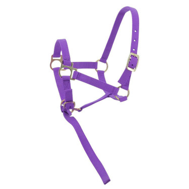 Cabresto de nylon para potro Cabresto de nylon para potro