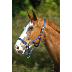 Caveção de nylon dupla espessura com fechos de fivela Norton Azul-marinho Caveção de nylon dupla espessura com fechos de fivela Norton Azul-marinho