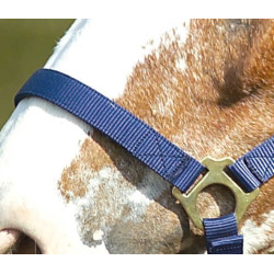 Caveção de nylon dupla espessura com fechos de fivela Norton Azul-marinho Caveção de nylon dupla espessura com fechos de fivela Norton Azul-marinho