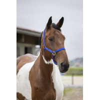 Caveção de nylon dupla espessura com fechos de fivela Norton Preto