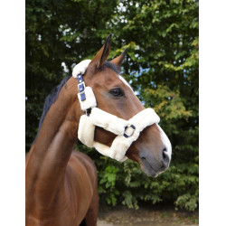 Caveção Equithème Teddy Marinho / cru Azul